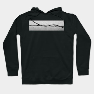 Entwined Hoodie